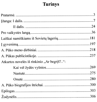 Pukas-albertas-nebaigta-knyga-turinys.png