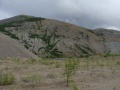 Chenikandza-liekanos-2.jpg