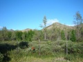 Chenikandza-liekanos-4.jpg