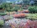 Dneprovskij-liekanos-4.jpg