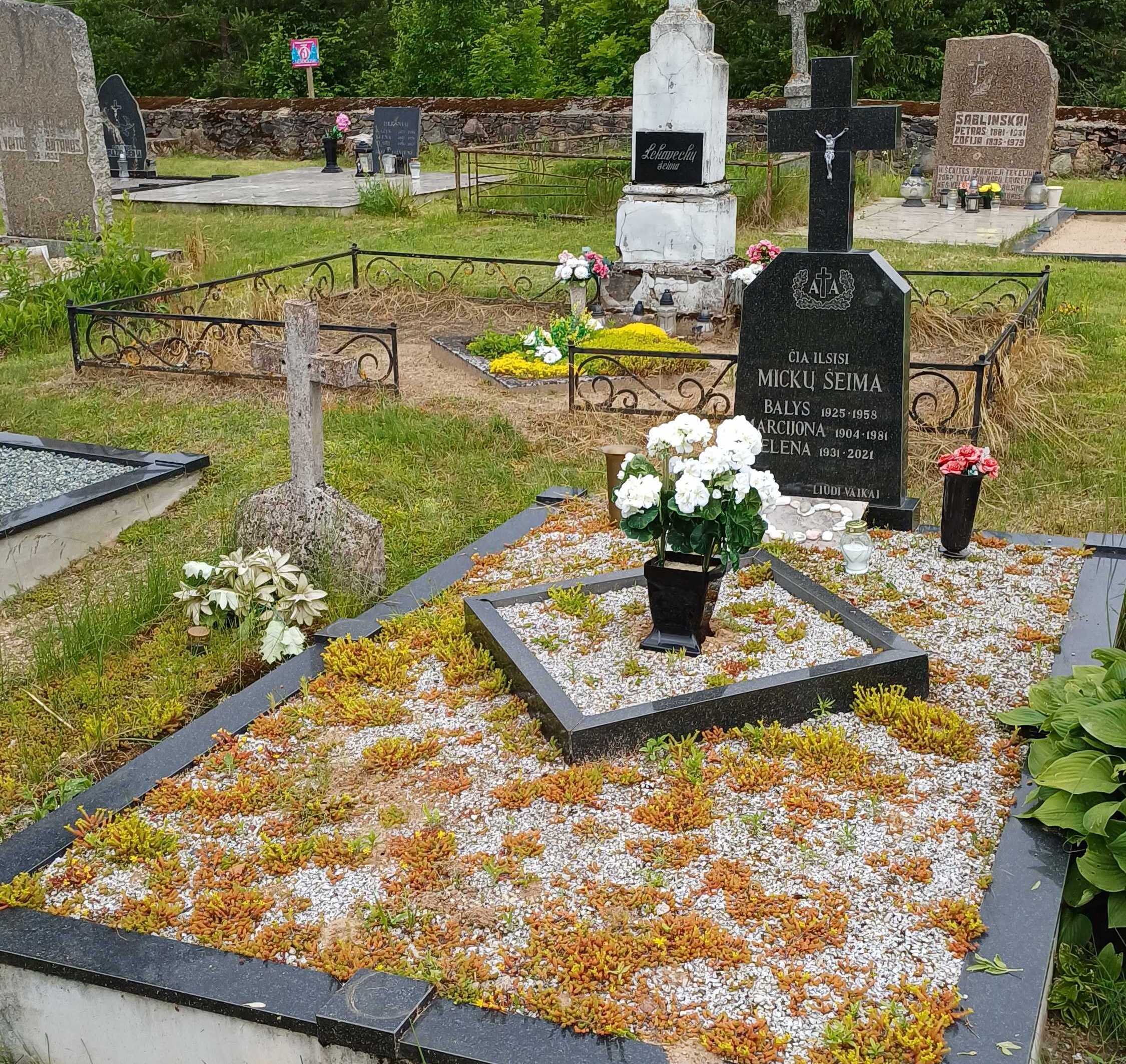Elenos Jurevičienės ir jos tėvų kapas Antazavės kapinėse, 2025 m. (fot. S. Žilionis)